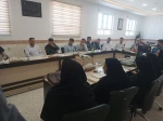 نشست شورای آموزشی دانشگاه ملی مهارت واحد استانی خراسان جنوبی  4