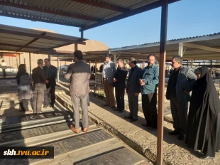 بمناسبت هفته بسیج زیارت گلزار شهداء و ذکتر فاتحه قبور همکاران فقید دانشگاه برگزار شد.  2